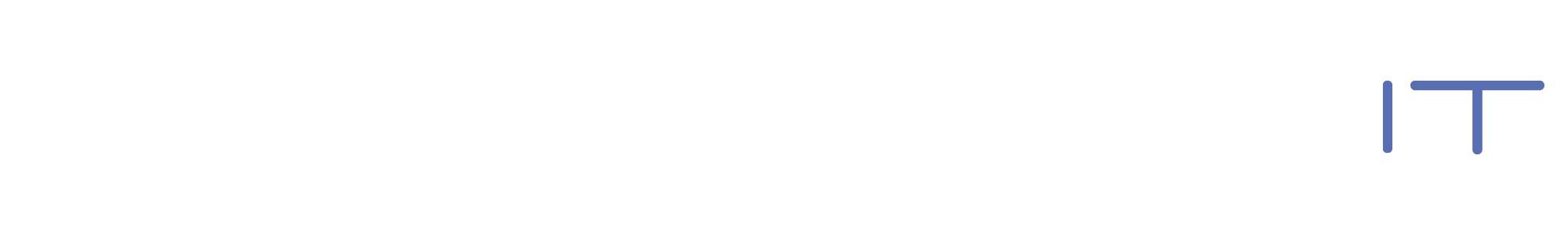 Birkeflet IT Logo